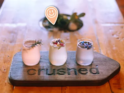 A Mimosa Flight